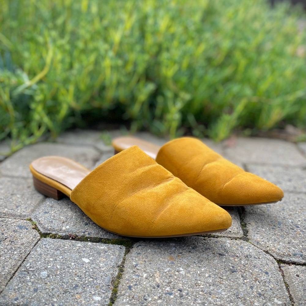 Abound Mustard Suede Mules